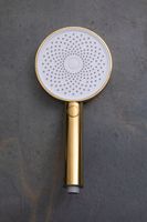 Душевая лейка Allen Brau Priority 5.31B20-GB золото — фото 7, Лейки для душа