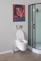 Унитаз подвесной Aquanet Rimless CL-12249D арт-Roll-W — фото 11, Подвесные унитазы