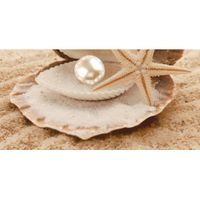 Декоративный массив Аликанте бежевый (низ жемчужина) (07-00-5-10-00-11-122) 25х50 (13 шт) — фото 1, Декоративные элементы