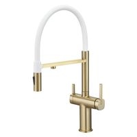 Смеситель для кухни с подключением фильтра для воды Rose , золотой сатин арт-R358G — фото 1, Смесители для кухни