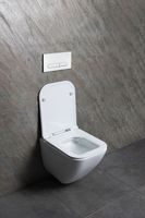 Чаша подвесного унитаза Allen Brau Liberty белый арт-4.33012.20 — фото 15, Подвесные унитазы