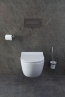 Товар: Унитаз Allen Brau Priority 4.31001.20 подвесной без сиденья - фото 48 Унитаз Allen Brau Priority 4.31001.20 подвесной без сиденья — фото 48, Подвесные унитазы