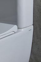 Товар: Чаша напольного унитаза Allen Brau Priority 4.31003.20 белый - фото 16 Чаша напольного унитаза Allen Brau Priority 4.31003.20 белый — фото 16, Напольные унитазы