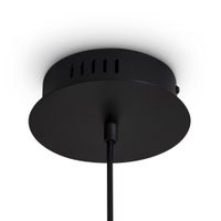 Подвесной светильник Freya FR5557PL-L14B — фото 5, Подвесные светильники