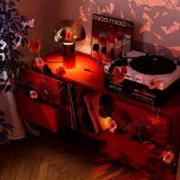 Товар: Настольный светильник Freya FR5218TL-01BS - фото 11 Настольный светильник Freya FR5218TL-01BS — фото 11, Настольные лампы