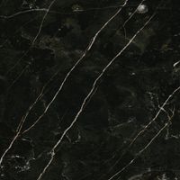 Керамогранит DAKAR черный 60х60 (1,44м2/46,08м2/32уп) СК000044733 — фото 1, Керамогранит