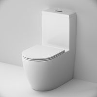 C8F8900SC Func Унитаз-моноблок безободковый с сиденьем — фото 2, Напольные унитазы