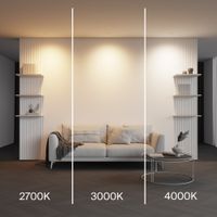 Товар: Встраиваемый светильник Technical DL100-6W2.7-3-4K-W - фото 4 Встраиваемый светильник Technical DL100-6W2.7-3-4K-W — фото 4, Точечные светильники