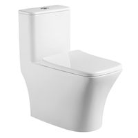 Унитаз-моноблок AZARIO Teano 695x370x740 напольный, горизонтальный слив, сиденье дюропласт микролифт арт-AZ-8621 — фото 5, Напольные унитазы