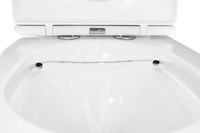 Унитаз-компакт Azario LANDER 410х665х835 напольный, безободковый, в комплекте с быстросъемным сиденьем "Микролифт" арт-AZ-1299A — фото 5, Напольные унитазы