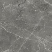 Керамогранит Tulip_GT Темно-сер. 60x60 _ 1\54,72 арт-GT606012109SPR — фото 5, Керамогранит