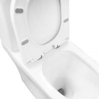 Товар: Унитаз-компакт Azario Tesoro 350х650х830 напольный, безободковый, система смыва "Торнадо", быстросъемное сиденье микролифт арт-AZ-8501 - фото 5 Унитаз-компакт Azario Tesoro 350х650х830 напольный, безободковый, система смыва "Торнадо", быстросъемное сиденье микролифт арт-AZ-8501 — фото 5, Напольные унитазы