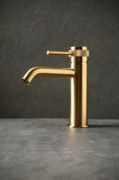 Смеситель для раковины Allen Brau Priority 5.31A01-GB золото — фото 9, Смесители для раковины