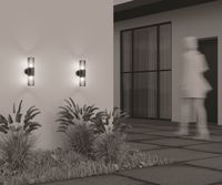 Настенный светильник (бра) Outdoor O432WL-02GF — фото 4, Уличное освещение