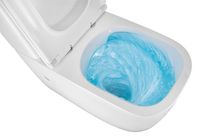 Товар: Унитаз-компакт Azario RIANO 355х620х790 напольный, безободковый, слив "Торнадо", с быстросъемным сиденьем "Микролифт" арт-AZ-1305A - фото 13 Унитаз-компакт Azario RIANO 355х620х790 напольный, безободковый, слив "Торнадо", с быстросъемным сиденьем "Микролифт" арт-AZ-1305A — фото 13, Напольные унитазы