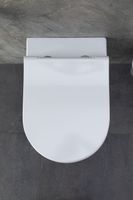 Унитаз с инсталляцией Allen Brau Priority, клавиша хром 301296+301297+306274+306276 — фото 27, Комплекты унитаз + инсталляция