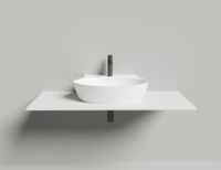 Раковина накладная ALDA WALL 01
покраска по RAL полностью 140321MF — фото 5, Раковины