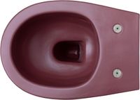Чаша подвесного унитаза Allen Brau Fantasy бордо арт-4.11004.BD — фото 9, Подвесные унитазы