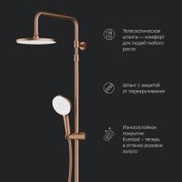 F0785A544 X-Joy, душ.система: см-ль д/ванны/душа с ТМС, душ.штанга,верх.душ 220мм, руч.душ,роз.золо — фото 5, Душевые системы