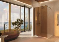 Душевая перегородка Walk-In , 1000*2000, вороненая сталь, стекло янтарь арт-VSW-1H100GSGM — фото 1, Душевые перегородки