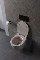 Чаша подвесного унитаза Allen Brau Fantasy айвори арт-4.11004.IV — фото 14, Подвесные унитазы