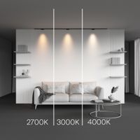 Трековый светильник Technical TR193-1-5W3K-M-B — фото 4, Трековые светильники