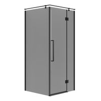 Душевое ограждение Niagara Nova NG-2831-34BLACK (90х90х195) квадрат,черный матовый,дверь распашная,стекло тонированное,1 место — фото 1, Квадратные душевые уголки