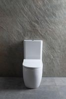 Товар: Чаша напольного унитаза Allen Brau Priority 4.31003.20 белый - фото 15 Чаша напольного унитаза Allen Brau Priority 4.31003.20 белый — фото 15, Напольные унитазы