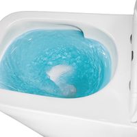 Товар: Унитаз-моноблок Azario Avanti 360х640х775 безободковый, система смыва Tornado, с быстросъемным сиденьем микролифт арт-AZ-6203 - фото 15 Унитаз-моноблок Azario Avanti 360х640х775 безободковый, система смыва Tornado, с быстросъемным сиденьем микролифт арт-AZ-6203 — фото 15, Напольные унитазы