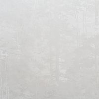 Обои 5169 59366 Forest арт.AR11218-01 — фото 1, Обои для стен