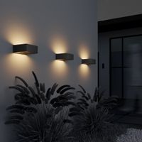 Настенный светильник (бра) Outdoor O464WL-L18GF3K — фото 2, Уличное освещение