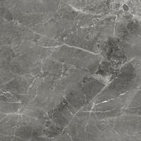 Керамогранит Tulip_GT Темно-сер. 60x60 _ 1\54,72 арт-GT606012109SPR — фото 2, Керамогранит