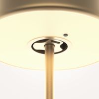 Товар: Аккумуляторный светильник Maytoni MOD229TL-L3G3K2 - фото 2 Аккумуляторный светильник Maytoni MOD229TL-L3G3K2 — фото 2, Настольные лампы