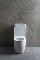 Товар: Чаша напольного унитаза Allen Brau Priority 4.31003.20 белый - фото 18 Чаша напольного унитаза Allen Brau Priority 4.31003.20 белый — фото 18, Напольные унитазы