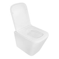 Унитаз подвесной Azario PRO 340х490х350 безободковый, в комплекте с быстросъемным сидением микролифт (PRO-002) арт-PRO-0002 — фото 1, Подвесные унитазы