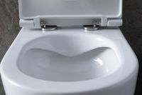 Унитаз Allen Brau Reality 4.32006.20 подвесной Белый без сиденья — фото 16, Подвесные унитазы