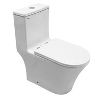 Унитаз-моноблок Azario Vally 690х360х760 напольный, слив "Торнадо", в комплекте с быстросъемным и сиденьем микролифт арт-AZ-80687 — фото 15, Напольные унитазы