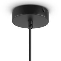 Товар: Люстра Freya FR4005PL-02B - фото 5 Люстра Freya FR4005PL-02B — фото 5, Люстры