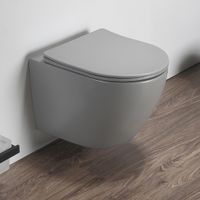 Унитаз Azario Grado подвесной безободковый (прямое сиденье) светло-серый с сидением микролифт 490*370*370 арт-AZ-0046 SP MH — фото 1, Подвесные унитазы