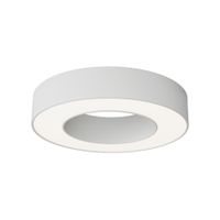 Потолочный светильник Technical C093CL-24W4K-W — фото 1, Подвесные светильники