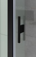 Душевая дверь Allen Brau Priority 120 3.31033.BBA профиль Черный браш стекло прозрачное — фото 25, Распашные душевые двери