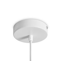 Подвесной светильник Freya арт-FR5530PL-L10W — фото 5, Подвесные светильники