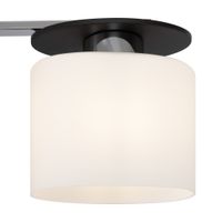 Потолочный светильник Freya FR5101-CL-04-CN — фото 5, Подвесные светильники