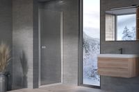 ANDROMEDA N - 100 - SILVER PROFILE - TRANSPARENT арт-516710 — фото 1, Душевые уголки