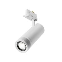 Трековый светильник Technical арт-TR198-3-20W4K-Z-W — фото 1, Трековые светильники