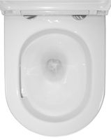 Товар: Унитаз подвесной Azario Fora 368х530х410 безободковый, с системой смыва "Скрытое Торнадо", в комплекте с быстросъемным сиденьем микролифт арт-AZ-0017-UQ3 - фото 7 Унитаз подвесной Azario Fora 368х530х410 безободковый, с системой смыва "Скрытое Торнадо", в комплекте с быстросъемным сиденьем микролифт арт-AZ-0017-UQ3 — фото 7, Подвесные унитазы