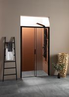 Товар: Душевая дверь Aquanet Pleasure 150, прозрачное стекло арт-AE60-N-150H200U-BT - фото 9 Душевая дверь Aquanet Pleasure 150, прозрачное стекло арт-AE60-N-150H200U-BT — фото 9, Раздвижные душевые двери