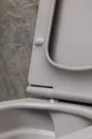 Товар: Чаша подвесного унитаза Allen Brau Liberty антрацит арт-4.33007.AN - фото 10 Чаша подвесного унитаза Allen Brau Liberty антрацит арт-4.33007.AN — фото 10, Подвесные унитазы