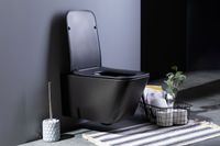 Товар: Унитаз подвесной Aquanet Rimless Tavr-W BL-103N-WHT black черный матовый TAVR-W BW - фото 18 Унитаз подвесной Aquanet Rimless Tavr-W BL-103N-WHT black черный матовый TAVR-W BW — фото 18, Подвесные унитазы