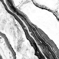 Плитка (1,44 кв.м.) арт-At.Shu 60x60 — фото 1, Керамическая плитка